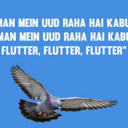 Rosesh's Poem